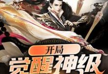 《开局觉醒神级辅助系统》小说章节在线试读,《开局觉醒神级辅助系统》最新章节目录-乐读文学