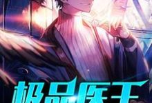 完结版《极品医王》免费阅读-乐读文学