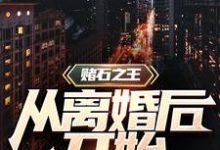 赌石之王从离婚后开始沈复,赌石之王从离婚后开始章节在线阅读-乐读文学