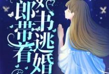 新婚夜,新郎带着婚书逃婚了?宋丛温苏烟在线章节免费阅读-乐读文学