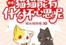 阿淼华裳的故事在哪本书里?免费阅读快穿:猫猫能有什么坏心思呢-乐读文学