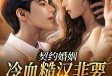 乔宁江辰禹的小说在哪里看?免费在线阅读契约婚姻:冷血糙汉非要给我撑腰-乐读文学
