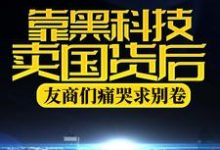 靠黑科技卖国货后,友商们痛哭求别卷苏晨在线章节免费阅读-乐读文学