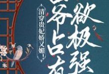 小说《清穿贵妃娇又媚！四爷占有欲极强》在线章节阅读-乐读文学