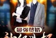 最强赘婿:神级选择小说,最强赘婿:神级选择最新章节-乐读文学