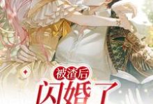 主角叫江璐思江璐申呤的小说在哪阅读-乐读文学