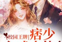 边炀唐雨的小说在哪里看?免费在线阅读校园王牌:痞少入戏太快-乐读文学
