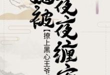 撩上黑心王爷后,她被夜夜缠宠小说,撩上黑心王爷后,她被夜夜缠宠最新章节-乐读文学