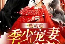 一眼成瘾:季少宠妻太无度小说免费资源,一眼成瘾:季少宠妻太无度在线阅读-乐读文学