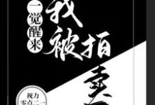 一觉醒来,我被拍卖了小说最新章节在哪里可以读到?-乐读文学