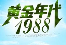 黄金年代1988(钟援朝钟局)在线免费阅读-乐读文学