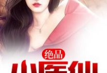 已完结小说《绝品小医仙》在线章节阅读-乐读文学