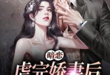 暗恋:虐完娇妻后,总裁火葬场了阮流苏斯见微,暗恋:虐完娇妻后,总裁火葬场了最新章节-乐读文学