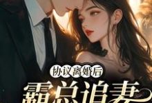 协议离婚后,霸总追妻火葬场免费阅读,协议离婚后,霸总追妻火葬场章节在线阅读-乐读文学