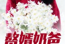 《赘婿奶爸》小说主角潘伟林若然小茜宝章节章节免费在线阅读-乐读文学