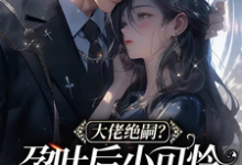 《大佬绝嗣?孕吐后小可怜一胎三宝》全集免费在线阅读(黎棠棠陆迟聿)-乐读文学