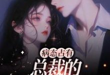 病态占有:总裁的私有宝贝小说全文哪里可以免费看?-乐读文学