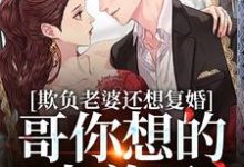 欺负老婆还想复婚,哥你想的太美了小说,欺负老婆还想复婚,哥你想的太美了最新章节-乐读文学