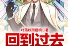 《回到过去当奶爸》小说大结局免费试读 宁嘉言柳如帘宁慕小说-乐读文学