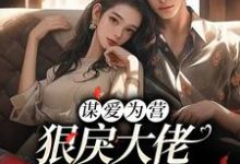 谋爱为营:狠戾大佬独宠我一人小说最新章节在哪里可以读到?-乐读文学