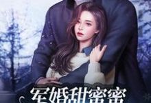 军婚甜蜜蜜:兵王老公使劲宠小说,军婚甜蜜蜜:兵王老公使劲宠 冯晚禾薛战城-乐读文学