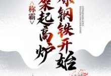称霸:从架起高炉冶炼钢铁开始 林云林无月,称霸:从架起高炉冶炼钢铁开始章节在线阅读-乐读文学