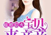 暖婚似火:宝贝,来亲亲!这本小说怎么样?免费在线阅读试试-乐读文学