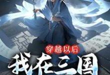 男女主人公张成贾诩小说穿越以后,我在三国呼风唤雨章节免费阅读-乐读文学