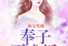 萌宝驾到:奉子不成婚苏致函柳青岩小说在线章节免费阅读-乐读文学