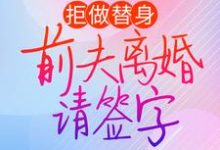 拒做替身:前夫离婚请签字小说,拒做替身:前夫离婚请签字免费阅读-乐读文学