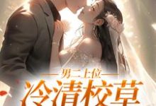 男二上位:冷清校草我不要了小说完结了吗?在哪里可以免费读到?-乐读文学