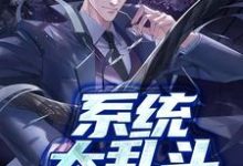 系统大乱斗丁小志曲问歌,系统大乱斗小说免费阅读-乐读文学