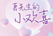 许菀萧靖川为主角的小说好看吗?求萧先生的小欢喜免费试读-乐读文学
