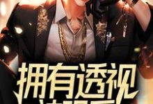 拥有透视神眼后,我成了美女保镖叶开叶凰小说免费阅读-乐读文学