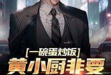 一碗蛋炒饭,黄小厨非要拜我为师小说的最新章节在哪里更新?免费追踪阅读-乐读文学