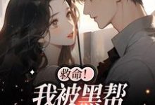 完结版《救命!我被黑帮大佬盯上了》在线免费阅读-乐读文学