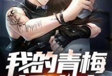 我的青梅超威武这本小说在哪里可以看?哪里有免费试读章节?-乐读文学