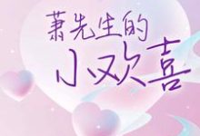 在线寻找萧先生的小欢喜小说的无删减版本-乐读文学