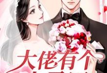 大佬有个小马甲许净盛远津小说在线章节免费阅读-乐读文学