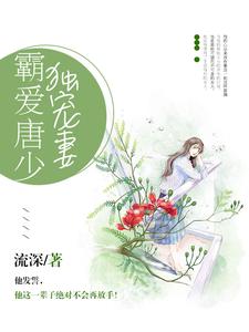 小说《霸爱唐少独宠妻》章节免费阅读