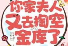 妖月夜星晨小说在线章节免费阅读(王爷!你家夫人又去掏空金库了无弹窗无删减)-乐读文学