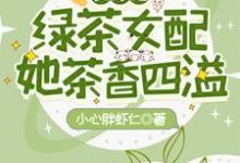季眠小说在线章节免费阅读(快穿之绿茶女配她茶香四溢无弹窗无删减)-乐读文学