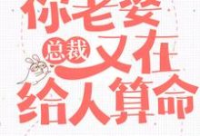 总裁,你老婆又在给人算命章节免费在线阅读,叶紫鸢君凌渊完结版-乐读文学