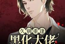 久别重逢:黑化大佬人设崩塌了小说阅读,久别重逢:黑化大佬人设崩塌了完结版-乐读文学