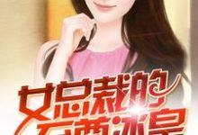 《女总裁的至尊兵皇》小说大结局免费试读 高阳李妙妃颜如玉小说-乐读文学