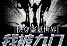 解萌萌張起棂小说在哪里可以看-乐读文学