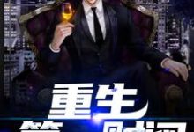 已完结小说《重生第一财阀》在线章节阅读-乐读文学