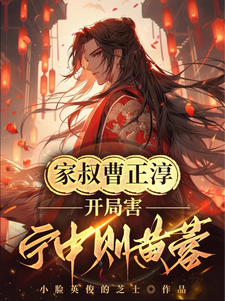 家叔曹正淳，开局害宁中则黄蓉小说的无弹窗阅读体验，寻找免费阅读网站