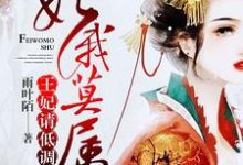 妃你莫属:王妃,请低调安汐司腾夜安毅小说大结局免费试读-乐读文学