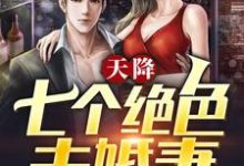 天降七个绝色未婚妻小说免费资源,天降七个绝色未婚妻在线阅读-乐读文学